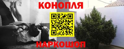 шишки Свободный